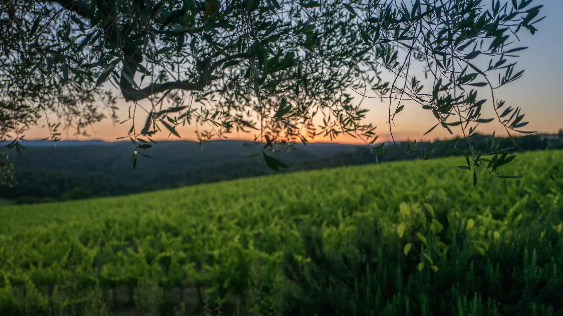 Holiday home Casa Attilio Villa Siena Italy