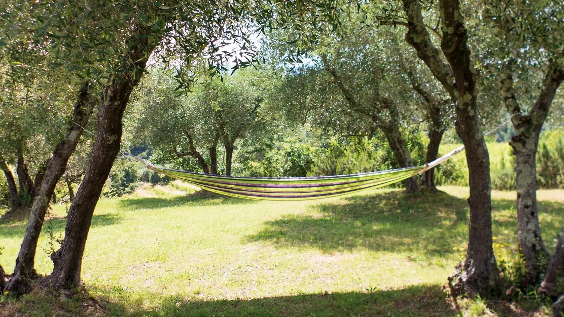 Holiday home Casa Attilio Villa Siena